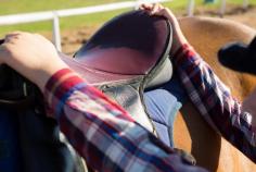 Horse riding is exhilarating and rewarding, yet it also carries its own set of challenges. From falls to repetitive strain injuries, riders can face various physical challenges. To More: https://vertexphysio.ca/common-horse-riding-injuries-and-how-physiotherapy-can-help/, (825) 525-2852,  southclinic@vertexphysio.ca 

#equinetherapyedmonton #physiotherapyforhorseridersedmonton #horseridersphysiotherapy
#edmontonphysio #edmontonphysiotherapy #edmontonphysiotherapyclinic #physicaltherapyedmonton #physioedmonton #physiotherapistedmonton #physiotherapyclinicsedmonton #vertexphysiotherapyedmonton #physiotherapysouthedmonton 