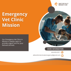 Round-the-Clock 24/7 Emergency Vet Clinic in Mission


Visit Abbotsford Vet Emergency's emergency vet clinic in Mission for superior veterinary care during emergencies. Our experienced team of veterinarians and caring staff are dedicated to providing prompt and compassionate care for your pets when it matters most. Equipped with advanced facilities, we are prepared to handle a wide range of critical situations. Trust our emergency vet clinic in Mission to prioritize your pet's well-being and provide the highest quality of care. Learn more about our services on our website and have peace of mind knowing your pets are in capable hands.