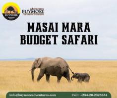 How To Plan A Quality Masai Mara Migration Safari On A Budget


Kenya is a lovely country that beckons with uncountable legendary landmarks, natural marvels, and ancient peoples. To read our published blog: https://masaimaraluxurysafari.wordpress.com/2024/10/14/how-to-plan-a-quality-masai-mara-migration-safari-on-a-budget/

Visit our website today at: https://www.buymoreadventures.com/masai-mara-migration-and-big-five
