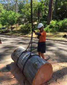 Reliable Emergency Tree Services in Sydney

When unexpected tree hazards arise, our Emergency Tree Services Sydney team is here to help. We specialize in fast, efficient tree removal and damage prevention, ensuring the safety of your property. Whether it's storm damage or a fallen tree, our expert team responds quickly to restore safety. Count on us for professional, prompt assistance.

Sydney Side Tree Services — your trusted choice!

Visit here: https://sydneysidetreeservices.com.au/service/sydney-emergency-tree-removal/
