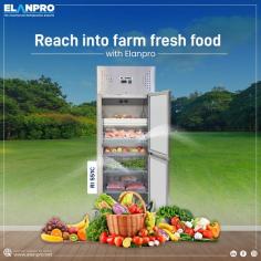 A Kitchen Refrigerator is a most essential appliance for every home, and Elanpro Appliances keeps your food fresh and in order. Its advanced cooling ensures a longer life for groceries stored inside. Extremely loaded with abundant storage and engineered with an energy-efficient design, the new Elanpro refrigerator stands out as an ideal unit for modern kitchens. Whether you need extra space for grocery storage or just a stylish fridge, Elanpro has the right choice available. Get an Elanpro refrigerator installed in your kitchen today!

To know more information about our products, you can directly contact us at 9015106925 or visit our official website: - https://elanpro.net/choosing-the-right-commercial-refrigerators-for-professional-kitchen/
