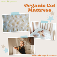 Choosing an organic cot mattress for your baby is an important decision that directly impacts your child's health and well-being. An organic cot mattress from brands like Milari Organics is crafted with natural materials that are free from harmful chemicals such as formaldehyde. This ensures a safer and healthier sleep environment for your baby. Providing a comfortable and formaldehyde-free cot mattress promotes better baby sleep by reducing the risk of SIDS and allergies often caused by synthetic materials. Investing in an organic baby cot mattress offers peace of mind, knowing your baby is sleeping on a product that prioritises both their comfort and long-term health.

Visit our website for more information : https://milariorganics.com.au/products/milari-green-baby-mattress
