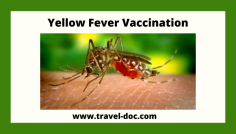 Yellow Fever is a serious viral infection that’s usually spread by a type of daytime biting mosquito known as the Aedes aegypti. It can be prevented with a vaccination.

Know more: https://www.travel-doc.com/service/yellowfever/