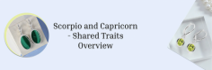 When we talk about harmonious pairs, Scorpio and Capricorn are one of them. Aspects like love, passion, compassion, commitment, and shared dreams are the foundations of this potent union, whether in love, work, marriage, friendship, communication, etc. As they have a lot in common, let us discuss the Scorpio and Capricorn compatibility on various grounds.