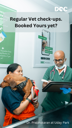 Looking for the best pet vet in South Delhi? At DCC Animal Hospital, we provide compassionate, expert care for your pets, ensuring their health and well-being are always our top priority. Our veterinary team in South Delhi is highly trained and equipped to handle a wide range of services, from routine check-ups to complex surgeries. We understand how much your pets mean to you, which is why we offer tailored treatment plans that cater to their individual needs.

With state-of-the-art facilities, including diagnostics, grooming, vaccinations, and emergency care, DCC Animal Hospital stands out as the preferred choice for pet parents in South Delhi. Whether you have a puppy, kitten, or senior pet, our dedicated team provides the highest level of care, backed by years of experience and a genuine love for animals.

Don't compromise when it comes to your pet's health. Visit DCC Animal Hospital, the best veterinary hospital in South Delhi, and experience world-class veterinary services.

Book an appointment today by visiting https://dccpets.in, and give your furry friends the care they deserve.