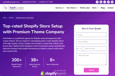 Experience unparalleled excellence in Shopify store setup with premium theme services from our distinguished Shopify Store Setup with Premium Theme Company. Elevate your online presence with meticulously crafted designs and seamless functionality, ensuring your business stands out in the digital marketplace.