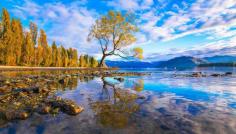 New Zealand Tour Packages:- Plan your dream vacation with our New Zealand tour packages. From scenic fjords to bustling cities, enjoy customized itineraries that highlight the best of New Zealand. Get started today!

