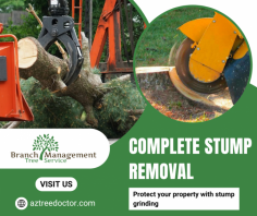 Efficient Tree Stump Removal Solutions

Our stump removal service ensures quick, efficient, and safe removal of unwanted tree stumps. We use specialized equipment, leaving your landscape clean and stump-free. Contact us 480-970-1315.