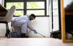 If you are looking for the Best service for Pest Inspections in Southport, then contact us at Blade Building Services. They specialize in building inspections, termite inspections, pre-purchase building inspections, pest inspections, renovations, repairs, and more. Visit:- https://maps.app.goo.gl/4XA7NAk97TLZBWNQ9 