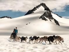 Capture extraordinary wildlife shots with our wildlife photography trips at Alaska Photo Adventures. Our guided tours combine years of research and personal experience to help you take iconic, publishable wildlife photos in Alaska’s most picturesque locations. Whether you're a seasoned pro or just starting out, we’ll help you hone your skills and capture the best moments. Contact us for more details.    https://www.alaskaphotoadventures.com/better-travel-wildlife-photos/