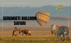 Enhance your Serengeti National Park Safari by adding a Serengeti balloon safari to your itinerary. Enjoy the tranquil ride over the park’s varied landscapes, spotting wildlife and capturing stunning views that will last a lifetime.

Read More: https://www.travelthebeyond.com/serengeti-balloon-safari-explore-untouched-wilderness-in-an-unique-way/

For more info visit: https://keitoursandsafaris.com/serengeti-national-park