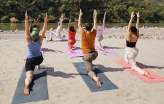 Unlocking Wellness: The Transformative Power of Yoga