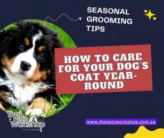 By adjusting your pet grooming services routine with each season, you’ll keep your dog’s coat in peak condition, ensuring they look and feel their best all year long.

Read more on: https://www.thepetsworkshop.com.sg/