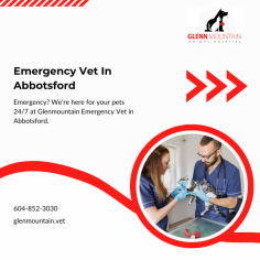 Emergency Vet In Abbotsford is available to help your pets

We have a team of Emergency Vet In Abbotsford who can help you 24 hours to manage the health problems of your vet and bring them back in great shape. Our Animal Hospital Abbotsford offers additional services including radiology, ultrasound, and breeding consultations. Call us today.