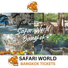 Get ready to experience heart-pounding excitement at Safari World Bangkok, where you'll come face-to-face with majestic lions, towering giraffes, and exotic wildlife! 