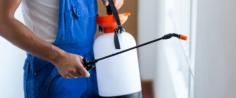 Are you looking for a reliable pest control management company in Oxenford? Look no further than The Pest And Termite Co. We provide a wide variety of commercial pest inspection and control services for your business. We understand that creating a safe working environment for your employees is of the utmost importance. Keeping pests out of your premises makes everyone happy and worry-free.