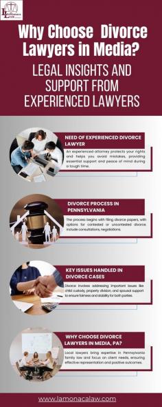 Check out our infographic to see how divorce lawyers in Media, PA can help you navigate each step of the divorce process—from filing paperwork to child custody and property division. Visit for more information

https://www.lamonacalaw.com/practice-areas/divorce/