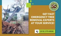 Get Rid of Trees Fast with Our Affordable Removal Service

Available 24/7, emergency tree removal in Raleigh is equipped with advanced tools and techniques to handle dangerous scenarios with precision. Protect your home, avoid accidents, and restore safety with prompt emergency tree removal services. Contact Maldonado Tree Service at (919) 270-8606 for more details!