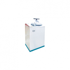 Labexpo Vertical Autoclave offers a quick-open handwheel design and a self-inflating seal to prevent leakage. Equipped with a 0.22 µm bacteria filter, 3 pulse vacuum cycles at -0.081 MPa, and a 75L capacity, it ensures reliable sterilization. With a digital display and stainless steel body, it's ideal for medical, pharmaceutical, and research applications.