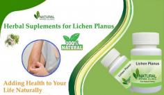 Lichen planus is an inflammatory disorder that impacts the skin and mucous membranes, leading to the development of rashes, intense itching, and overall discomfort. While conventional treatments often involve corticosteroids and antihistamines, many individuals seek natural remedies to help alleviate the symptoms without relying on long-term medication.
https://www.naturalherbsclinic.com/blog/lichen-planus-natural-alternative-treatment-with-herbal-remedies/
