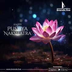 Discover our exclusive Pushya Nakshatra collection, perfect for enhancing your social media posts with vibrant Pushya Nakshatra images and wishes. Explore the characteristics of Pushyami Nakshatra, including its significance in Telugu and Karkataka Rasi. Experience the ease of creating stunning content with Brands.live—Branding Aasaan Hai, Marketing Aasaan Hai! Create your unique Pushyami Nakshatra posters today and simplify your campaigns effortlessly.

#PushyamiNakshatra #PushyaNakshatra2024 #PushyamiRasi #PushyaNakshatraTelugu #PushyamiNakshatraCharacteristics #PushyamiRasiTelugu #PushyaNakshatraImages #PushyaNakshatraWishes #KarkatakaRasi #PushyamiNakshatraPoster #NakshatraAstrology #VedicAstrology #AstrologyInTelugu #TeluguAstrology #NakshatraCharacteristics

https://brands.live/festivals/exclusive-collection-guru-pushya-nakshatra?utm_source=Seo&utm_medium=imagesubmission&utm_campaign=exclusive-collection-guru-pushya-nakshatra_web_promotions