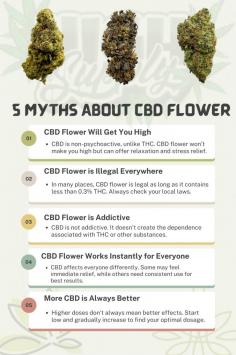 Discover the truth behind the most common misconceptions about CBD flower. Learn why CBD flower won’t get you high, its legal status, non-addictive nature, and the importance of proper dosage. Explore these myths and make informed decisions with High & Supply’s premium CBD flower selection in the UK. Visit: https://highnsupply.co.uk/