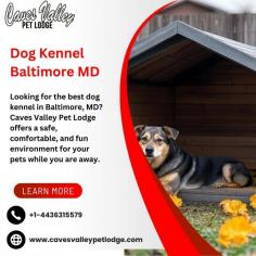 Top-rated Dog Kennel in Baltimore, MD | The Best Stay for Your Furry Friend
