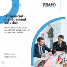 Unlock Efficiency with IT Financial Management Solutions

Elevate your business operations with ITBMO's comprehensive IT financial management solution. Our software is tailored to meet the unique needs of businesses, offering robust features for streamlined financial management. From budgeting to reporting, our solution covers it all, ensuring efficient handling of your finances. Additionally, our platform provides extensive support for financial service management, empowering you to optimize your service delivery processes and enhance customer satisfaction.