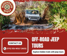 Discover Nature Through Off-Roading

Our off-road tours offer exhilarating adventures through rugged landscapes, showcasing breathtaking scenery and wildlife, perfect for thrill-seekers and nature lovers alike. For more details, call us at (970) 926-WOLF (9653).