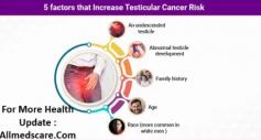 Know about the testicles health and conditions.