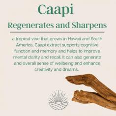 Discover the ancient wisdom of Caapi with Radiant Farms’ Hawaiian Caapi Gummies. Known for its powerful emotional and spiritual benefits, Caapi has been traditionally used to promote relaxation, reduce stress, and bring mental clarity. Our Caapi gummies are crafted from premium ingredients to provide a natural, gentle way to support emotional balance and inner peace. Incorporating Caapi into your daily routine can help enhance your overall well-being and connection with your emotions. Experience the transformative effects of Hawaiian Caapi with our easy-to-take gummies, designed for those seeking natural wellness solutions.

Buy Now: https://radiantfarms.us/products/hawaiian-caapi-gummies
