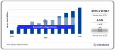 Stainless Steel Market Size, Share and Trends Analysis by Region, Grade, Product, End-Use and Segment Forecast to 2030. For more details visit: https://www.globaldata.com/store/report/stainless-steel-market-analysis/