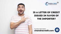 "Unlocking Trade: A Letter of Credit serves as a crucial financial tool, ensuring trust and security between importers and exporters. It’s all about facilitating smooth transactions!"
