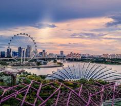 singapore tourist visa for indians:- To visit Singapore, one needs a tourist visa which has a duration of 30 days and has a single-entry permit. You can apply for your Singapore tourist visa with us.

