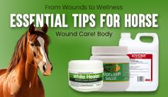 Discover expert tips on horse wound care, from cleaning and treating wounds to promoting faster healing. Keep your horse healthy and safe with these essential wound care practices.