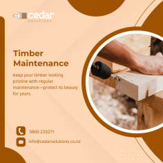 Our team of specialists has over 20 years of experience in timber maintenance

Our team of specialists have over 20 years’ experience in cedar and timber maintenance. So, if you are looking for Cedar cladding maintenance Auckland to restore and recoat your cedar or if you wish to clad with new cedar and need a coating solution, we are here to help. Get in touch with our experts today.