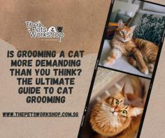 Is Grooming a Cat More Demanding Than You Think? The Ultimate Guide to Cat Grooming

Owning a cat as a pet comes with its joys, but it also brings the responsibility of regular grooming to ensure your feline friend stays healthy and happy. Although cats are known for their self-cleaning habits, they still require additional care to keep their coat, skin, and nails in top condition. Here’s a comprehensive guide to understanding why cat grooming is important and how a visit to a cat spa can make a significant difference.

1.Cats Aren’t Completely Self-Sufficient Groomers

Cats spend a considerable amount of time grooming themselves, but they don’t always cover everything. Certain areas, like behind the ears, under the chin, and the base of the tail, are often missed. Additionally, long-haired cats can develop mats and tangles, making grooming more challenging. Regular cat grooming helps reach those tricky spots, ensuring your cat stays clean and comfortable.

2. Managing Shedding and Hairballs

One of the most common reasons to invest in cat grooming is to manage shedding and reduce hairballs. While grooming themselves, cats swallow loose fur, leading to hairballs that can cause digestive issues. Regular brushing helps minimize shedding and significantly reduces the risk of hairballs, making your cat more comfortable and reducing the amount of fur around your home. A professional cat spa can provide thorough grooming services to effectively tackle shedding.

3. Preventing Skin and Coat Problems

Cat grooming is essential for maintaining a healthy coat and preventing skin problems. Regular brushing stimulates blood flow to the skin, distributing natural oils that keep the coat shiny and moisturized. This practice also allows you to check for any signs of skin irritations, fleas, or ticks. For a more comprehensive grooming experience, a visit to a cat spa can offer specialized treatments like coat conditioning, flea baths, and gentle massages that ensure your cat’s skin remains in top condition.

4. Nail Trimming and Paw Care

Trimming your cat’s nails is a crucial aspect of grooming that many owners overlook. Overgrown nails can cause discomfort, get caught in fabrics, or even lead to painful injuries. Regularly trimming your cat’s nails ensures they remain at a healthy length, preventing any potential issues. A cat spa provides professional nail trimming, ensuring the process is safe and stress-free for your feline friend.

5. Dental Care and Ear Cleaning

Cat grooming goes beyond brushing and nail trimming — it also includes dental care and ear cleaning. Just like humans, cats are prone to dental problems, and regular brushing can prevent plaque buildup and bad breath. Ear cleaning is equally important, as it helps remove wax, dirt, and debris that could lead to infections. Professional cat grooming services offer these additional treatments, ensuring your cat’s overall hygiene is well-maintained.

Why Choose a Cat Spa in Singapore for Grooming?

A cat spa offers more than just grooming; it provides a relaxing and pampering experience for your furry friend. Trained professionals handle grooming tasks with care and precision, making the experience stress-free for both you and your cat. They use specialized tools and products designed specifically for cats, ensuring a gentle and effective grooming process. Additionally, a cat spa allows you to address any grooming issues you might find challenging to handle at home.

Conclusion

Grooming is an essential aspect of cat care that shouldn’t be overlooked. Regular cat grooming not only keeps your pet looking great but also ensures their health and wellbeing. Whether you choose to groom your cat at home or take them to a professional cat spa, the key is to maintain a consistent grooming routine. This way, you’ll have a happy, healthy, and well-groomed feline companion by your side

Website : https://www.thepetsworkshop.com.sg/