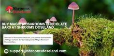 Welcome to Shroomsdoseland.com, your premier destination for all things related to the fascinating world of Magic Mushrooms Chocolate Bars. Email: support@shroomsdoseland.com

