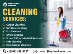 Are you looking for information on starting a cleaning service, hiring one, or tips on cleaning techniques? Let me know what you'd like to explore!