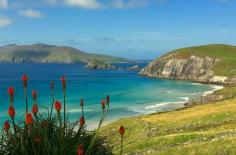 Ireland visit visa :

Planning a trip to Ireland? Our easy guide will help you get your Ireland visit visa. We cover the application steps, needed documents, and travel tips to make your journey smooth and stress-free.

