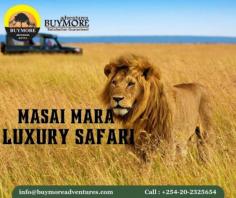 From Sunrise to Sunset: A Day on a Masai Mara Safari


The Masai Mara offers one of the most immersive wildlife experiences in Africa. To read our published blog: https://masaimaraluxurysafari.wordpress.com/2024/09/30/from-sunrise-to-sunset-a-day-on-a-masai-mara-safari/

Visit our website today at: https://www.buymoreadventures.com/masai-mara-migration-and-big-five