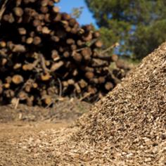 https://la.kingwood-china.com/product/wood-pellet-mill/
The Wood Pellet Press Machine is a powerhouse in the realm of sustainable energy production. This innovative device is designed to convert wood waste into valuable wood pellets, offering a practical solution to both waste management and energy generation. The Wood Pellet Press Machine is not just a machine; it's a symbol of our commitment to a greener future.