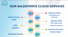 Top Salesforce consulting company in India, Jaipur, USA, and Australia. We offer expert Salesforce implementation, customization, and integration for business.

visit us:- https://zordial.com/salesforce-consulting-services.php
