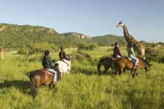 Thrilling Tanzania Horseback Safari

Saddle up for Horse Riding in Tanzania, a journey through the wild where lush landscapes and close wildlife encounters await. Traverse valleys, plains, and rolling hills with expert guides and top-tier horses, blending adventure with nature’s beauty. Book your Horse Riding in Tanzania for an unforgettable equestrian experience.    https://www.signaturesafari.com/tanzania-horse-riding