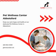 Visit Pet Wellness Center Abbotsford for your pet's annual health examination

This is a complete examination that includes checking the teeth, ears, heart, and lungs. We also provide vaccinations, parasite prevention, and much more. Pet Wellness Center Abbotsford is a veterinarian clinic for dogs and cats in Abbotsford, BC. We provide a wide range of services including vaccinations and much more. We also offer a complete annual health examination that includes checking the teeth, ears, heart, and lungs.