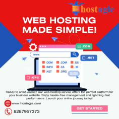 Hostagle is a technology and service provider with innovation at the core of their operations, specializing in [dural marketing solutions, hospitality solutions, software development and etc]. The company was founded in the year [date of establishment], and within a short period of time, the company has established itself as one of the leaders in the [quote the appropriate, high end service or products the business is dealing with e g seo, high quality web hosting, digital transformation platforms or customer oriented hospitality platforms] business.

Hostagle would be employees work-on building better and smarter solutions which will enlarge and facilitate business growth, improve overall user experience as well as enhance all aspects of the efficiency of operations for all sorts of businesses. They offer the services which have [quote the remarkable features that define their services, example, customizable solution, inexpensive pricing plans, plea, building long lasting trust with clients through the delivery of quality work, etc], and their main aim is to foster lasting partnerships with their clients through being consistent and delivering quality solutions.

The jermachets aim is – to provide the companies they serve with appropriate and modern for the fast evolving market and customers robust technology. Be it very young companies or already entry large scaled businesses, Hostagle has something unique to offer in each engagement they work in, that is professionalism, ability to innovate and deliver on engagements.

Vision: We seek to be the top provider of [quote the services that the company seeks to offer to its clients, example, service for the customers, web hosting services, site development and etc, within the region and abroad.

Please provide me with more details about Hostagle if at all possible for a more personalized description of it.