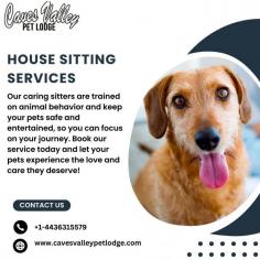 What if you could travel without worry? At Caves Valley Pet Lodge, we make that a reality with our reliable house sitting services. Our caring sitters are trained on animal behavior and keep your pets safe and entertained, so you can focus on your journey. Book our service today and let your pets experience the love and care they deserve!