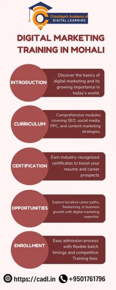 CADL (Centre for Advanced Digital Learning) offers top-notch digital marketing training in Mohali, designed to equip students with the skills needed to succeed in the online marketing world. The course covers key areas such as SEO, social media marketing, PPC advertising, content marketing, and web analytics. Whether you’re a beginner or looking to upgrade your skills, CADL provides hands-on training with industry-relevant tools and techniques. Join today to start your journey towards becoming a certified digital marketing expert.

For more information, visit https://cadl.in or call us at 9501761796.