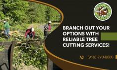 Safe and Efficient Tree Cutting Services!

Do you need tree cutting? At Maldonado Tree Service, our professionals will help with tree cutting in Raleigh, without damaging your property and by giving you the most beautiful landscape. Call us for a free consultation and we will make sure you have a clean and neat yard!
