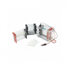 Labtro Gel Electrophoresis combines isoelectric focusing and SDS-PAGE with a special glue maker. It accommodates 1-2 gel blocks and a 2500 ml buffer volume. It features independent tanks for both directions, eliminating the need for a high-current power supply.